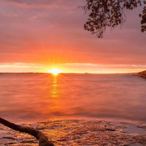 美女捆绑✅免费网站
