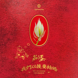 美女捆绑✅免费网站
