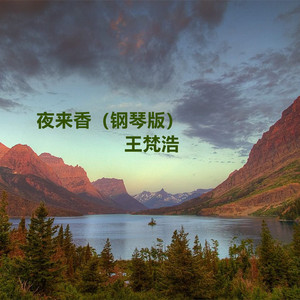 美女捆绑✅免费网站
